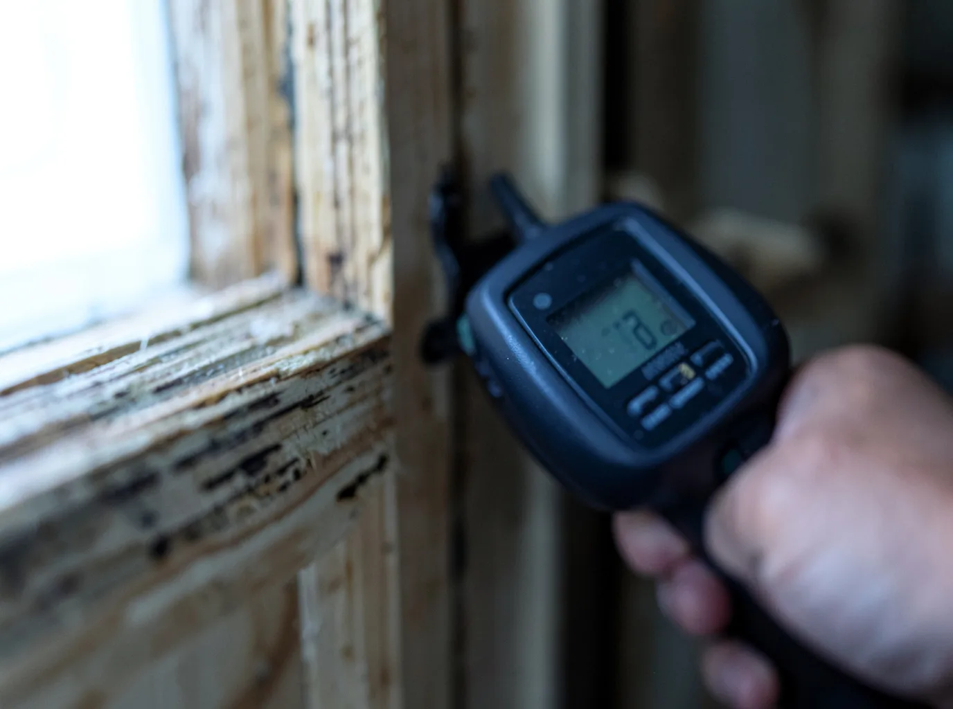 Moisture Inspection And Documentation in Swea City, IA